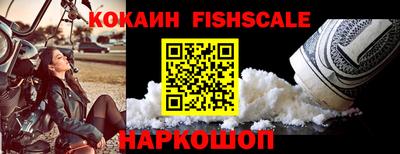 индика Партизанск