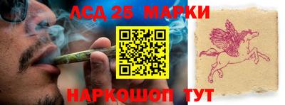индика Партизанск