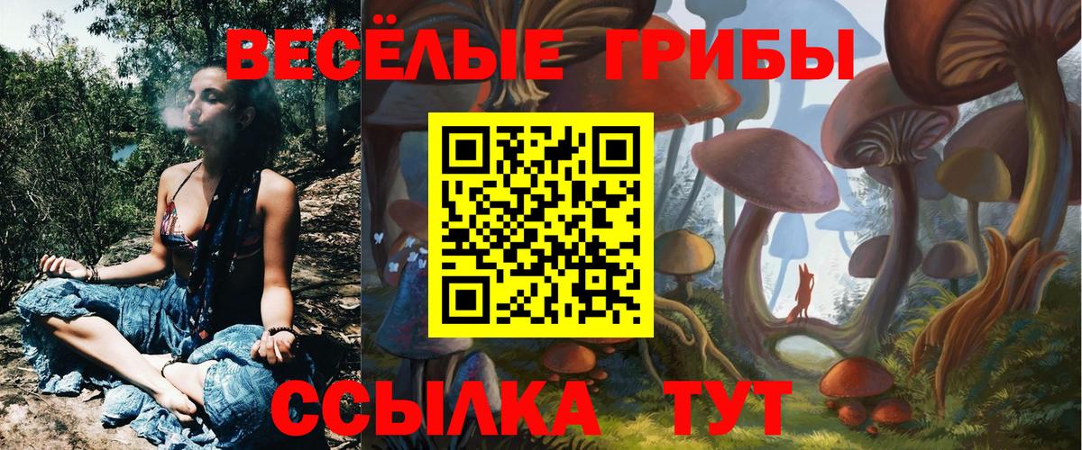 как найти закладки  Галлюциногенные грибы Psilocybine cubensis  Вход с VPN  Псилоцибиновые грибы Magic Shrooms  Бирск 